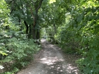 Budakeszi Telek