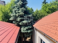 Budapest X. kerület Üzlethelyiség