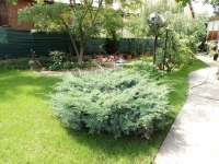 Dunaharaszti Családi ház