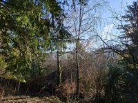 Budakeszi Telek